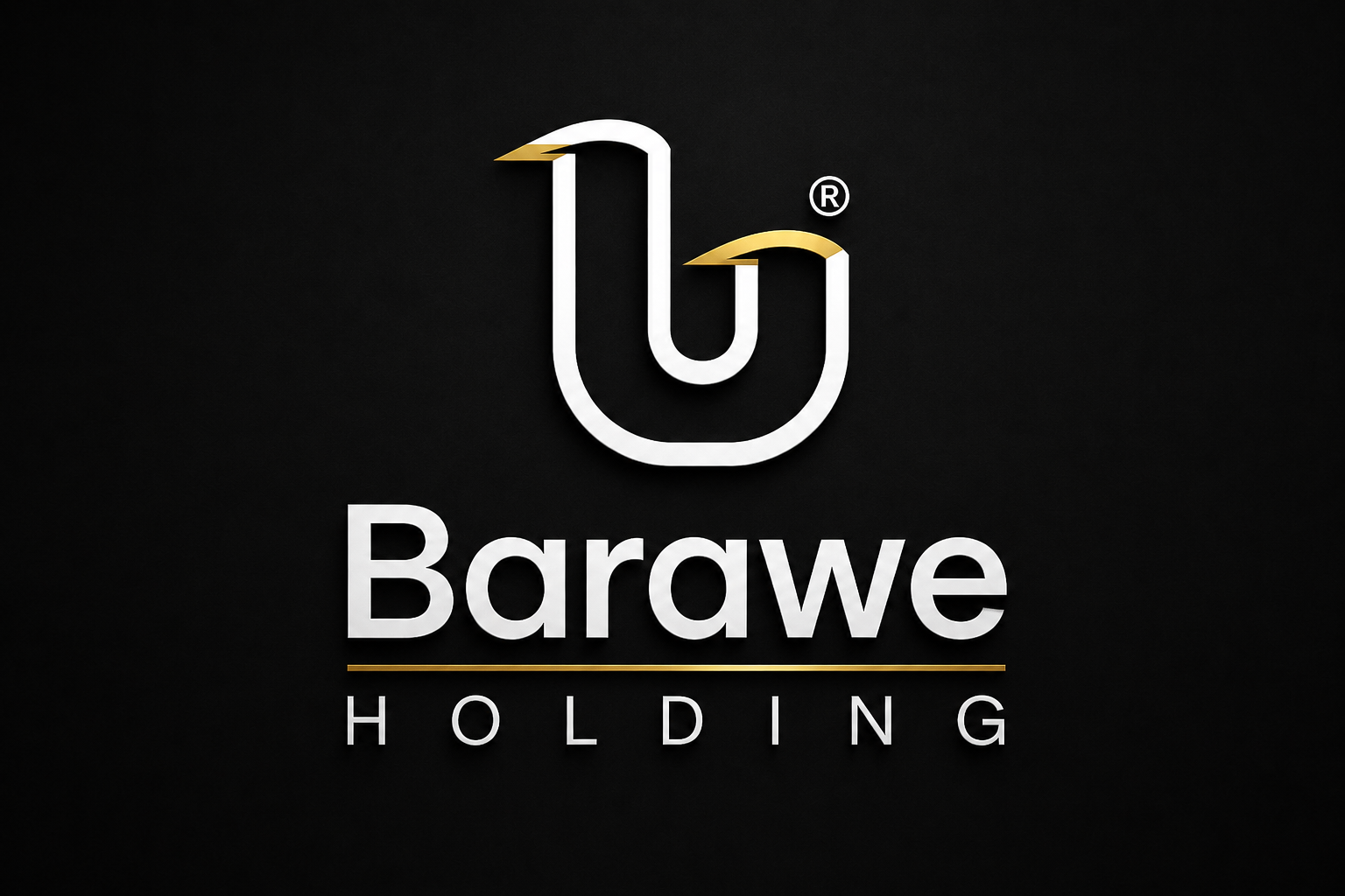 Barawe Holding